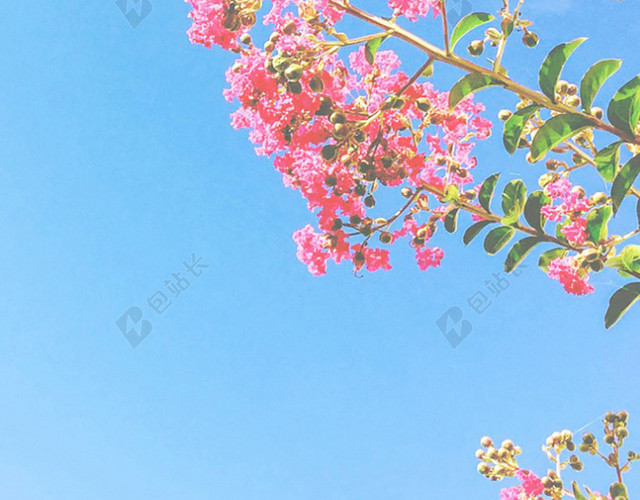 蓝天白云花朵手机端H5背景