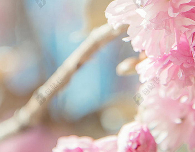 粉色桃花春天手机端H5背景