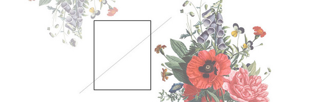 淘宝清醒简约花朵暖色背景BANNER