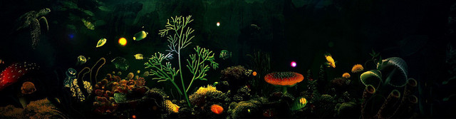 梦幻海洋