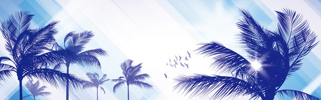 精美棕榈树BANNER背景