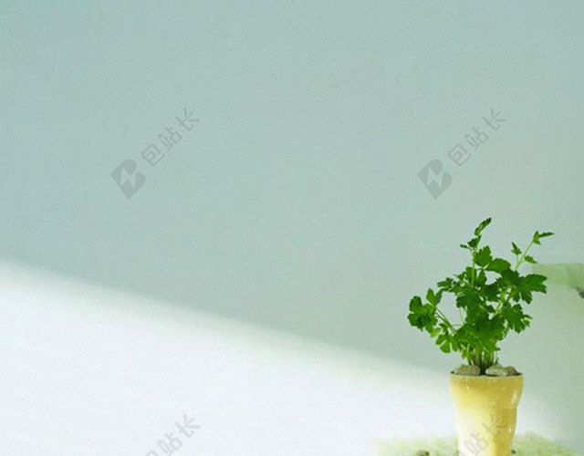 单独淡雅一支鲜花图