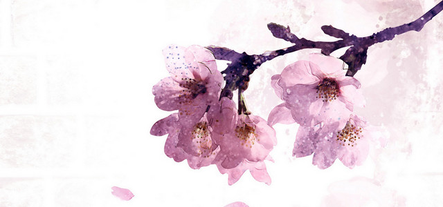 粉色手绘樱花背景