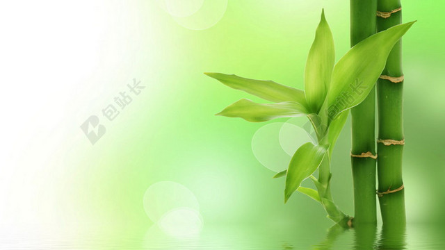 绿色竹树清淡简约背景