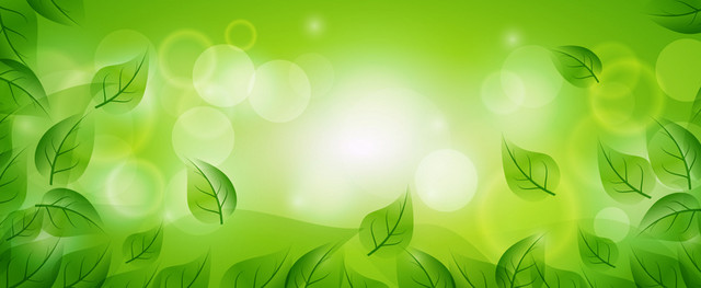 彩色树叶BANNER