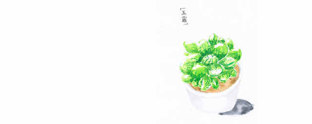 日系文艺清新手绘多肉植物背景