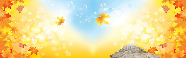 秋季秋装金色背景BANNER