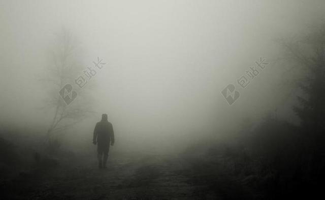 晨运人士 秋季 雾 男子 人的 心情 气氛 景观 树 背光