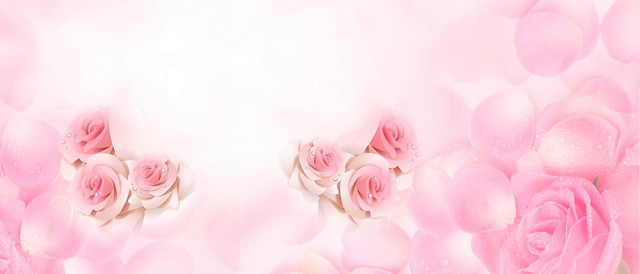 粉色浪漫玫瑰爱情情人节背景BANNER