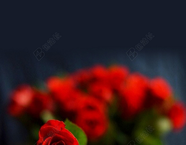 玫瑰花表白背景