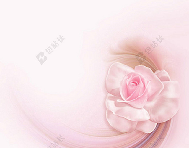 梦幻粉色玫瑰花背景图