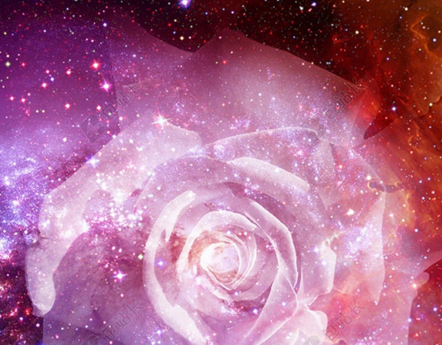 闪耀星光玫瑰花背景