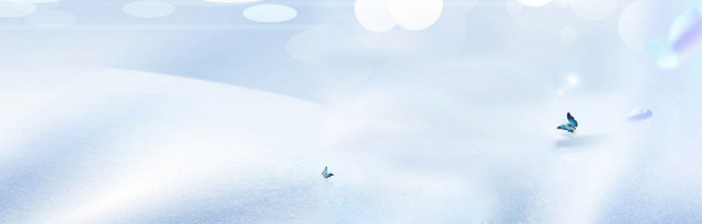 简约  珠宝  海报BANNER背景