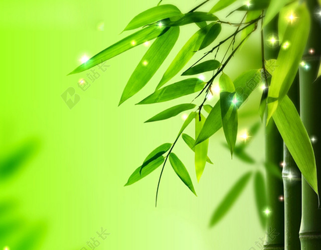 绿色竹子光效背景图