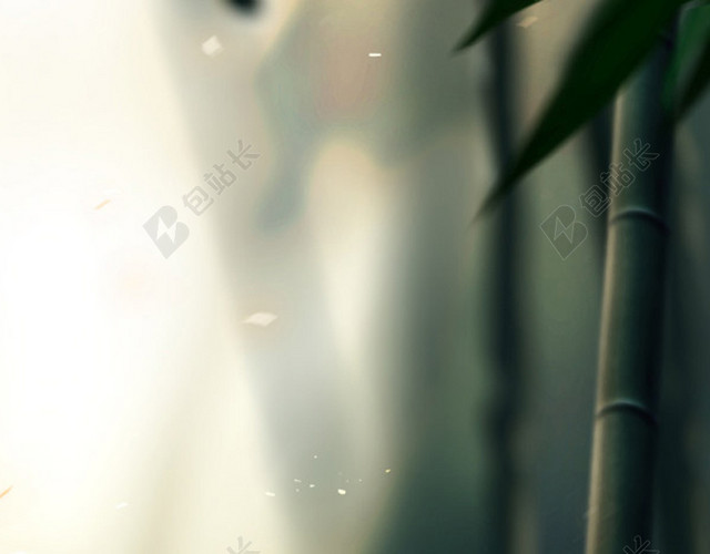 H5背景竹子