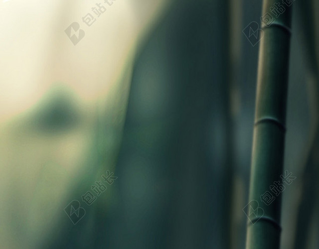 H5背景竹子