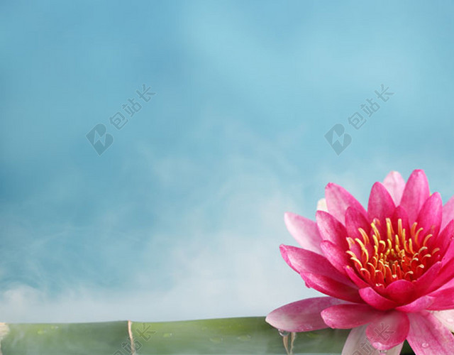 清新莲花竹子背景图