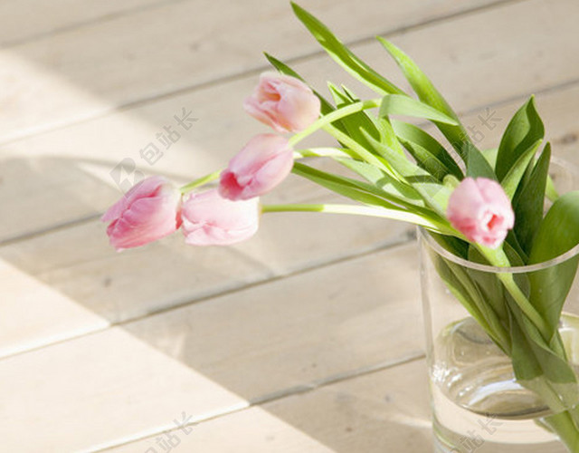 鲜花清新背景图