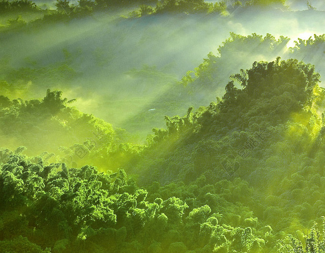 风景唯美H5背景