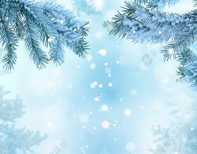 浪漫冬季雪花松枝背景