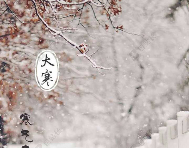 节气H5素材背景