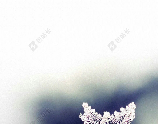 雪花雪结晶背景
