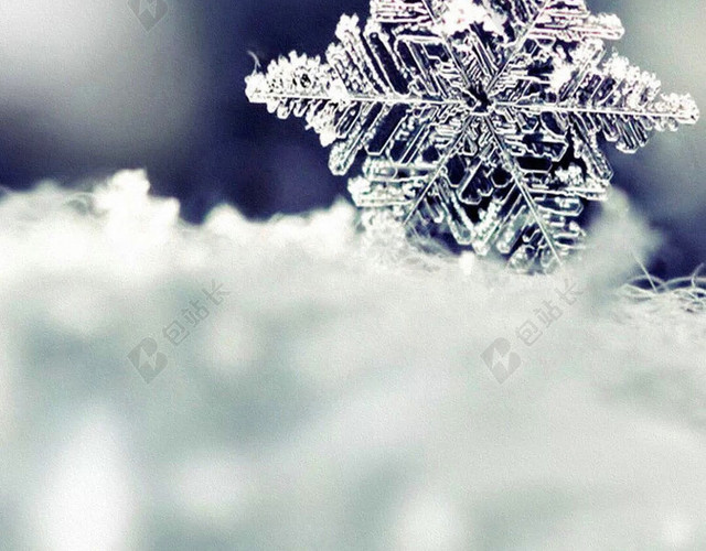 雪花雪结晶背景