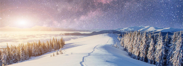 雪地梦幻海报BANNER背景