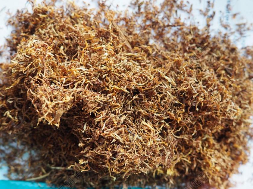 烟草 干 香烟 尼古丁