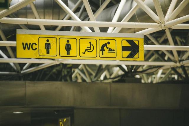象形图 图标 标志 WC 厕所 机场 站 市民 运输 国际