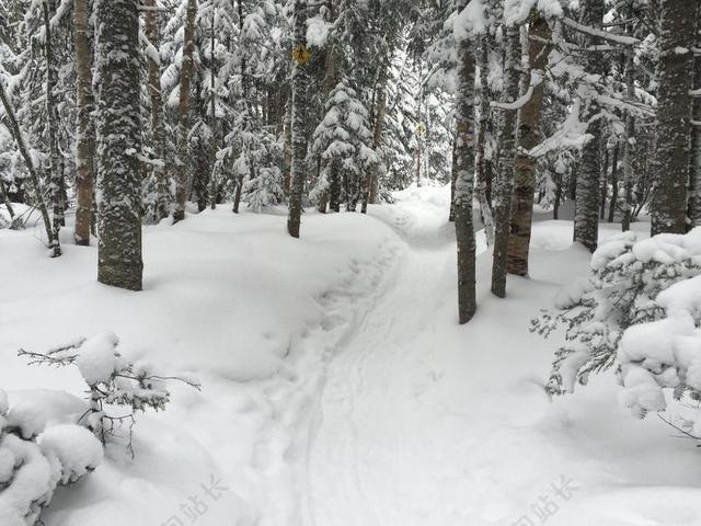 白色雪山冬天自然景观背景图片