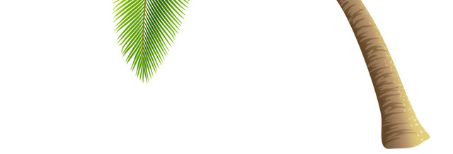 热带植物素材