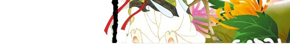 中国传统节日九九重阳老人菊花素材