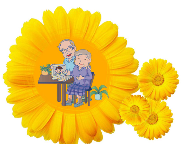 中国传统节日九九重阳节菊花瓣素材