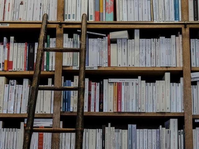 书店 图书馆 书籍 梯子 教育 搁置 读取 阅读 文字