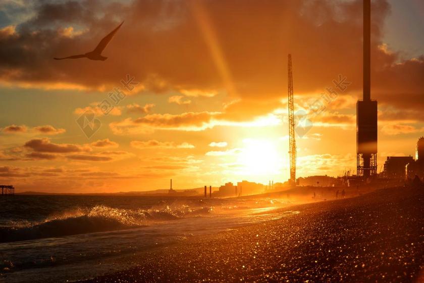 日落 海滩 波 鸟 起重机 工业 海滩日落 海洋 海 水