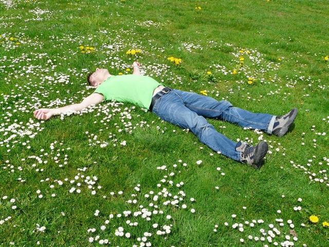 绿色人舒适绿地上的男人背景图片