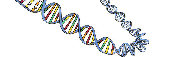 螺旋分子机构图素材