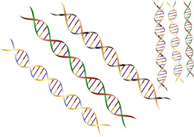 螺旋分子彩色NDA素材