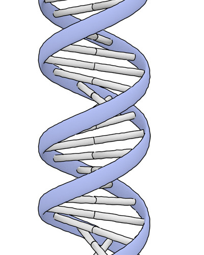 蓝色染色体螺旋分子微生物素材