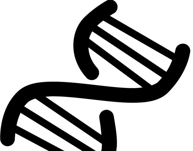 曲线黑色染色体螺旋分子微生物素材