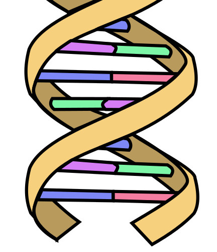 DNA分子设计元素螺旋状素材