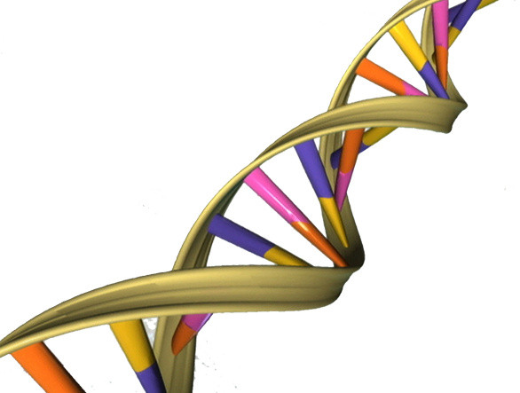 多彩色基因DNA螺旋分子素材