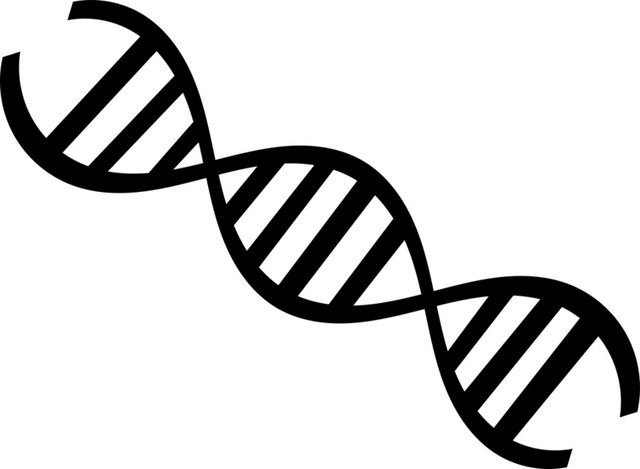 双螺旋分子黑色曲线素材
