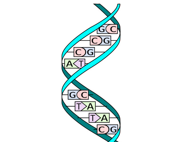 双螺旋分子立体DNA染色体素材