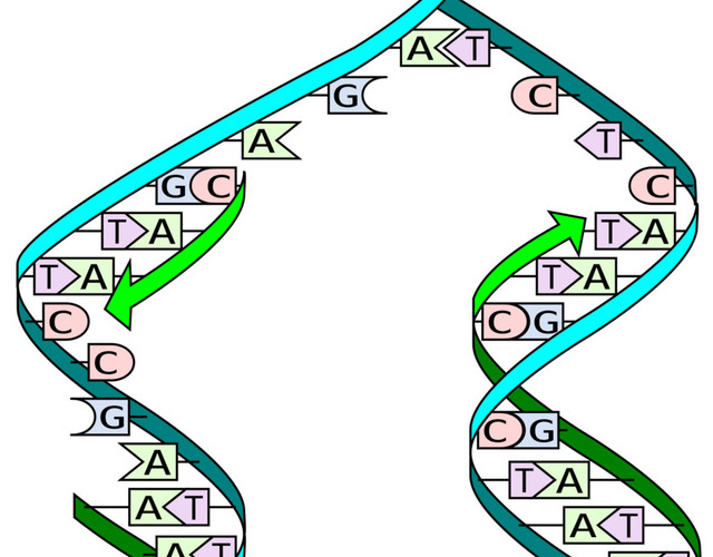 双螺旋分子立体DNA染色体素材