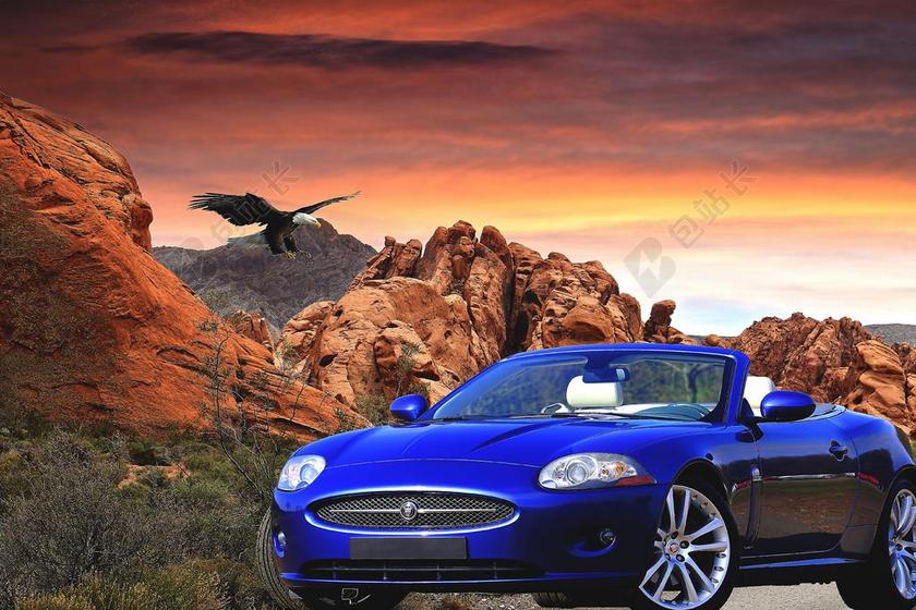 户外汽车广告鸟飞行背景图片