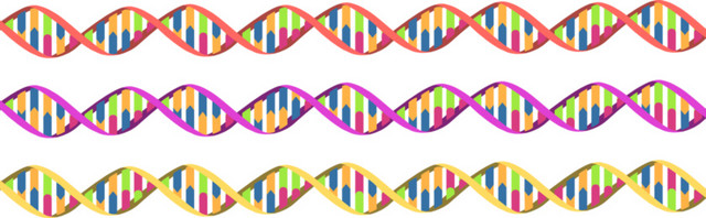 多彩色双螺旋分子脱氧核糖核酸素材