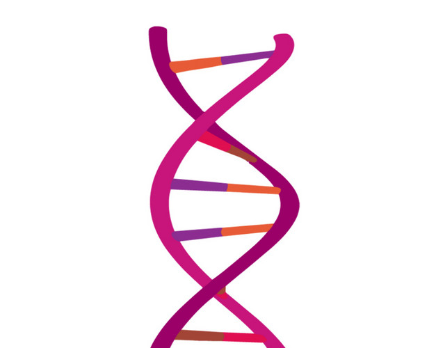 多彩色基因DNA螺旋状分子素材