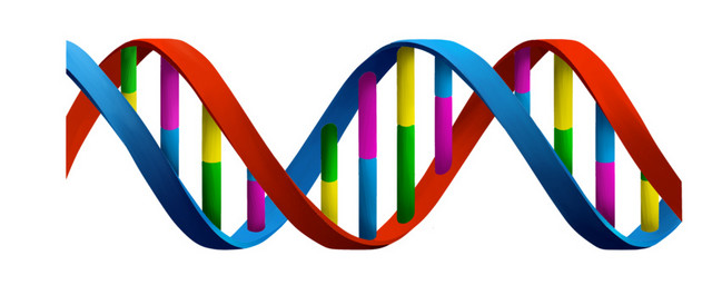多彩色DNA染色体螺旋分子素材